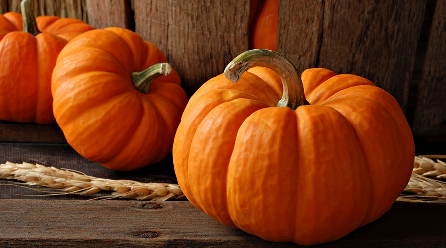 Consuming pumpkins often helps in fighting body weight. / Net photo