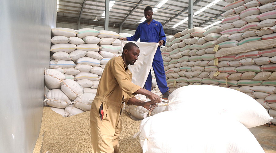 Workers in an agro processing factory. Agriculture is one of the sectors that are the subject of scrutiny from parliament. / Sam Ngendahimana