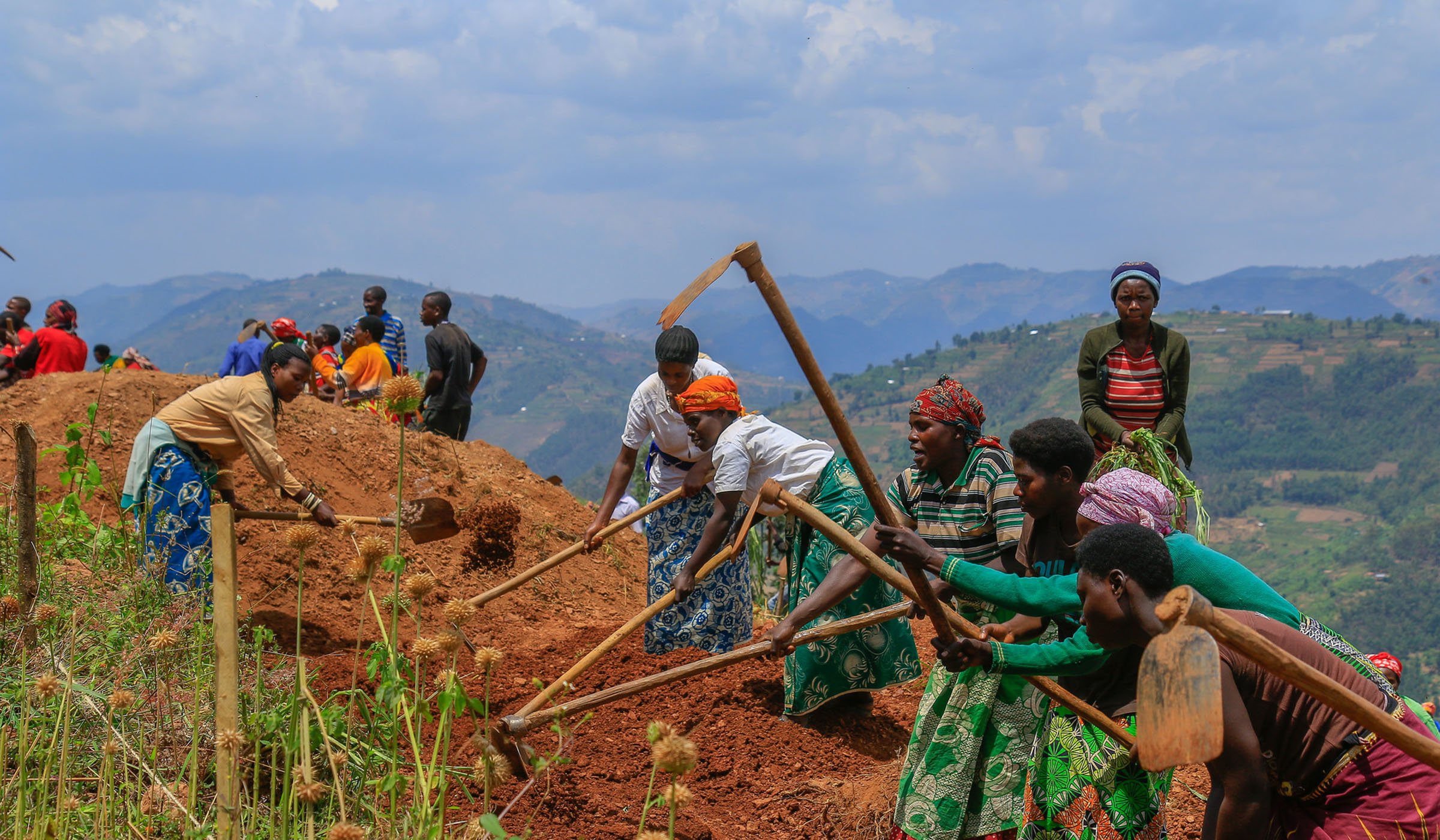 Farmers till land in Rulindo District. Net photo.