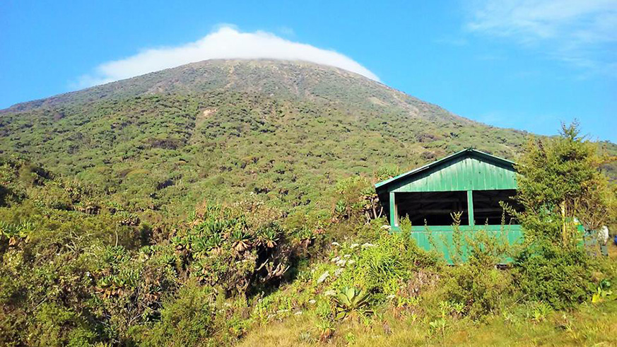 Mount Karisimbi. Courtesy.