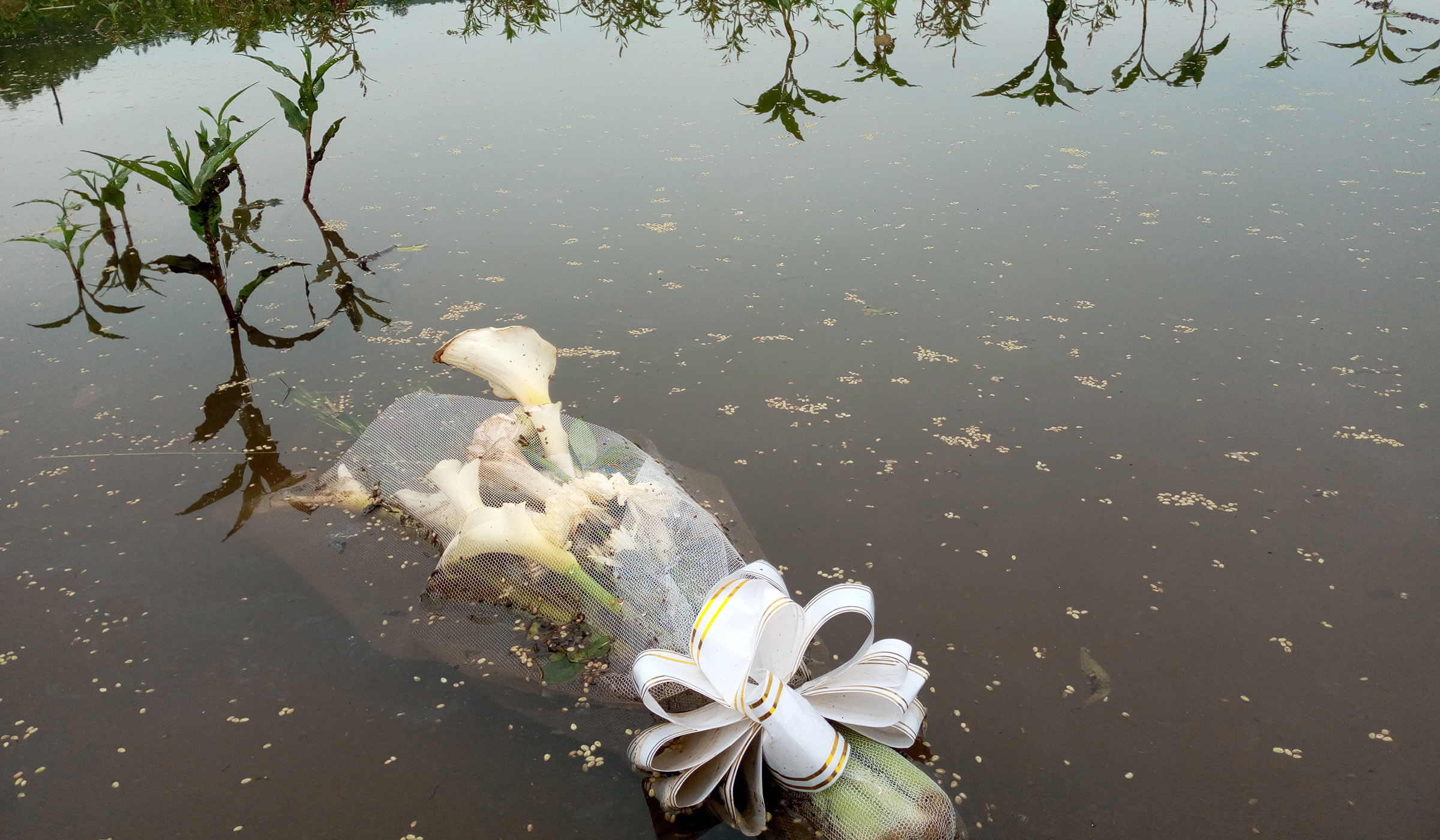 Survivor treat the dam as home to their loved ones. They lay flowers on it during commemoration. Photo/ Jean de Dieu Nsabimana.