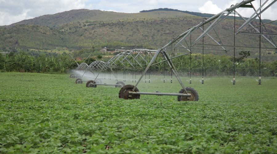Centre-pivot irrigation system in a soybean plantation in Nasho, Kirehe District. / File