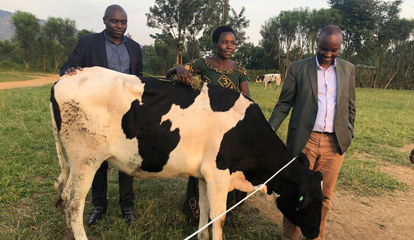 Josiane Niyonsaba, one of the beneficiaries (centre), poses with her cow as Nyarugenge District vice Mayor Vu00e9daste Nsabimana and John Gatashya, the Head of Projects at I&M Bank, admire the cow on Friday. Kelly Rwamapera.