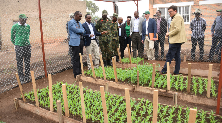 Officials looking on how a project that will produce hybrid maize seeds in Karangazi Sector will run. / Courtesy