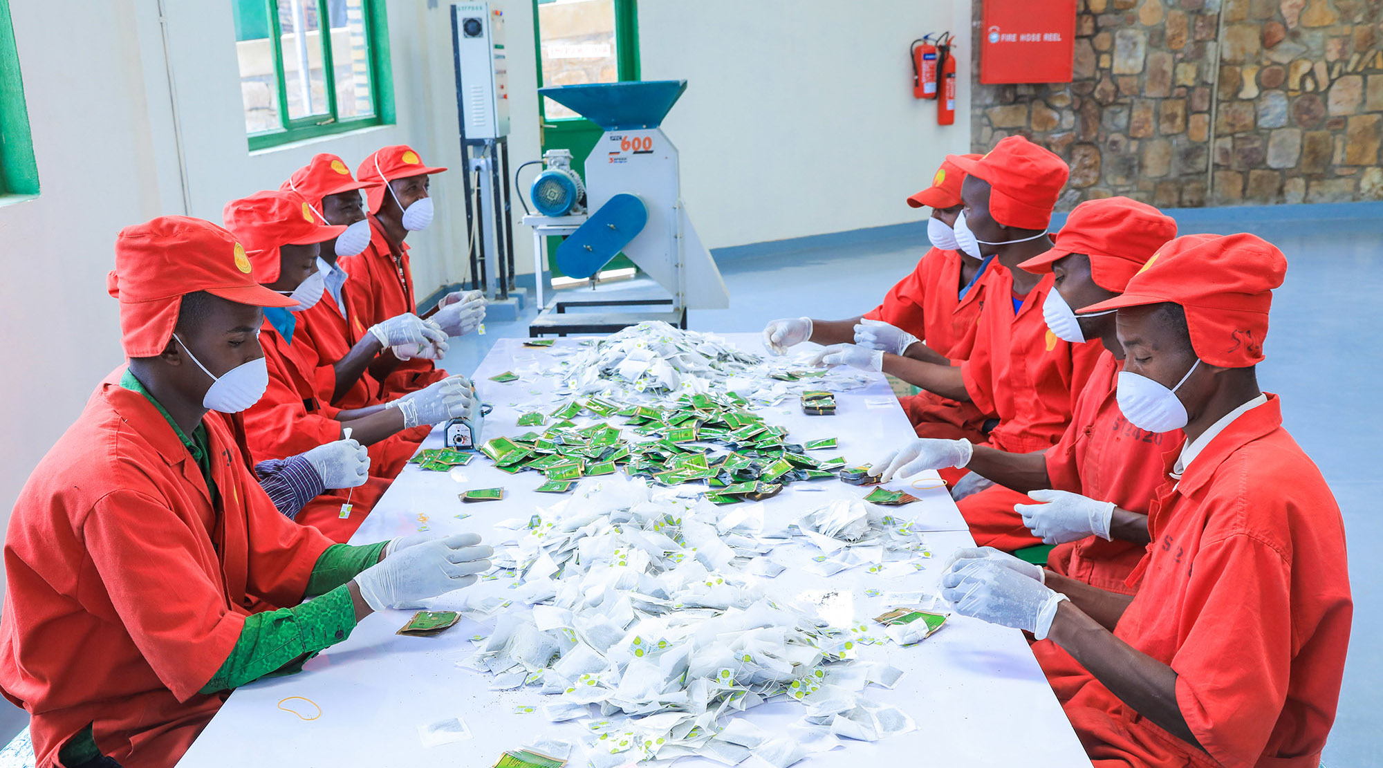 Employees pack tea bags at the SORWATHE headquarters. East African countries are among top tea producers globally. / Emmanuel Kwizera
