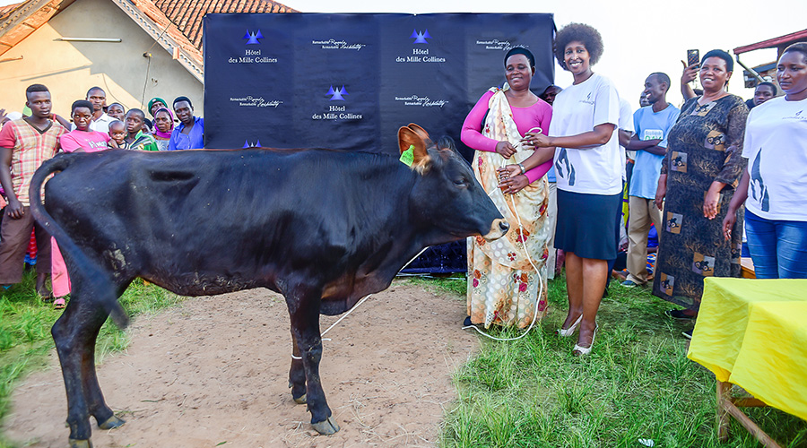 General Manager Claire Kangwage handing over a cow to one of the three beneficiaries. / Simon Peter Kaliisa