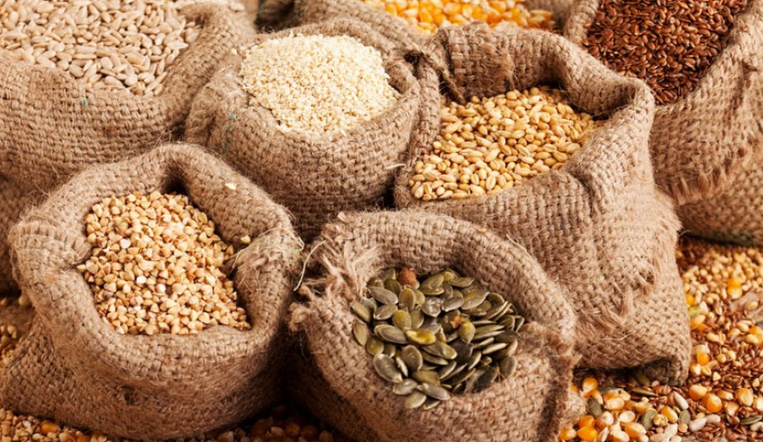 Researchers under The African Seed Access Index have recommended more efforts to involve private sector in introduction and development of improved seeds, seeds availability as well as put in place mechanisms to create more seeds access from farmers. Net photo.