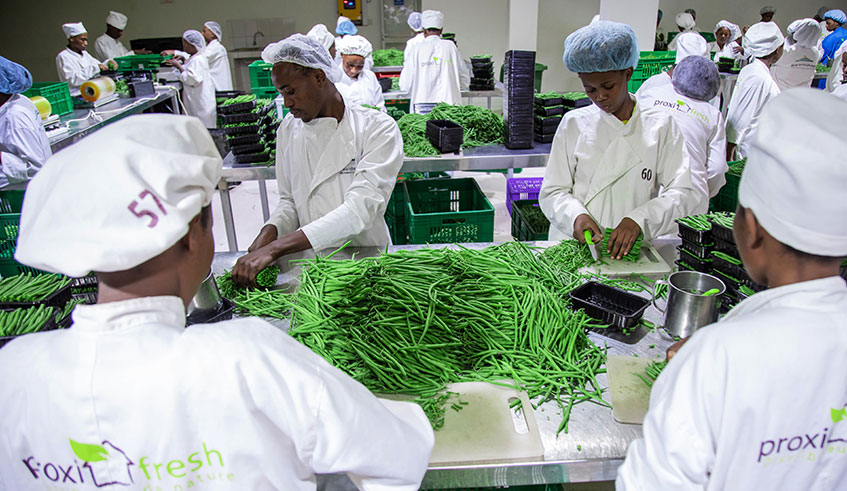 Workers packaging fruits and vegetables for export in Kigali, According to the Central Bank Rwandau2019s exports increased in the first half of this year. Emmanuel Kwizera.