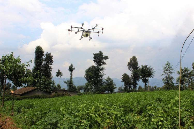 A drone sprays pesticides in a potato farm in Gataraga Sector, Musanze District. The Government plans to start using drones in spraying mosquito prone areas by the end of this month. / File