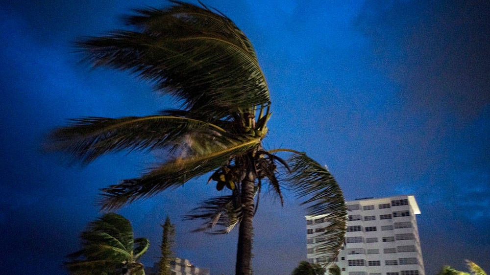 Strong winds move the palms of the palm trees at the first moment of the arrival of Hurricane Dorian in Freeport, Grand Bahama, Bahamas. / Ramon Espinosa/AP Photo