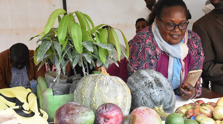 Marie-Claire Ntabana says fruits especially mangoes are high demand across the country. / Jean Dieu Nsabimana