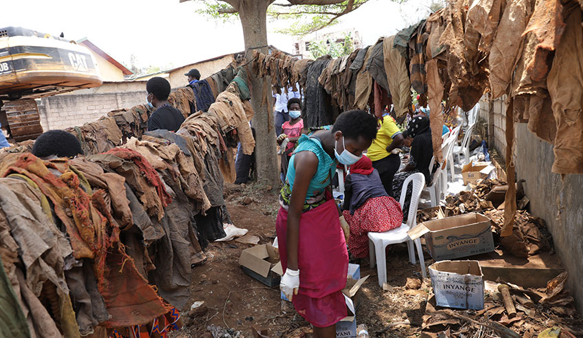 Residents work to exhume remains of victims of the 1994 Genocide against the Tutsi in Rwezamenyo Sector, Nyarugenge District on September 24, 2019. Remains of 100 victims have been uncovered. The victims were buried in the home of one Jean-Baptiste Rwagasana, who is one of the victims buried here. Emmanuel Kwizera.