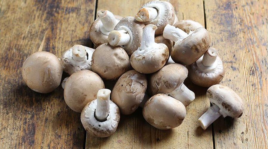Regular consumption of mushrooms assists in weight loss, controls blood pressure, and improves bone strength, among other things. / Net photo