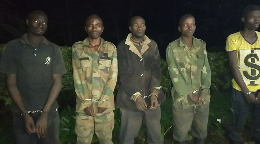 The captured fighters have admitted to be of the FDLR whose premises are in DR Congo bushes. / Ru00e9gis Umurengezi