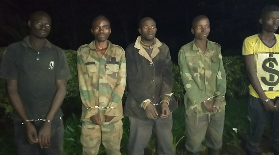 The captured fighters have admitted to be of the FDLR whose premises are in DR Congo bushes. / Ru00e9gis Umurengezi