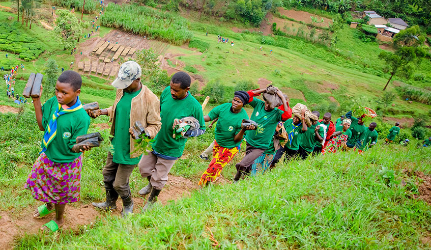 Gicumbi District residents carry tree seedlings during the launch of u2018Strengthening Climate Resilience of Rural Communities in Northern Rwandau2019 project in Gicumbi District last weekend. Transparency International Rwanda yesterday launched a Rwf113.5 million project to strengthen accountability and transparency in the implementation of climate change projects in the country. Photo: Courtesy.