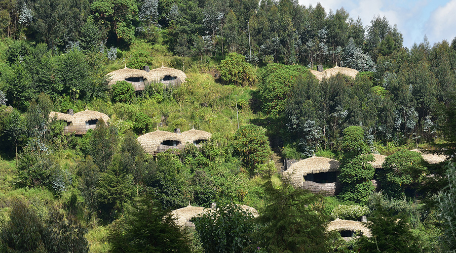 Bisate Lodge is a luxury lodge located in the Volcanoes National Park in Musanze District. / Net