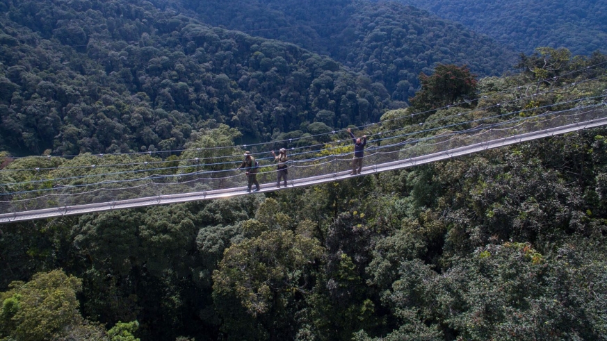 Tourists enjoy a walk on the canopy in Nyungwe National Park in Rusizi District. According to the Ministry of Environment, Rwanda has reached 30 per cent forest cover target. / Courtesy