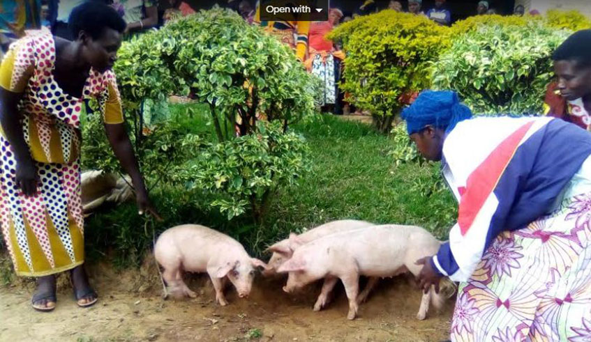 The savings will help them to increase the number of pigs and afford the feeds. Michel Nkurunziza.