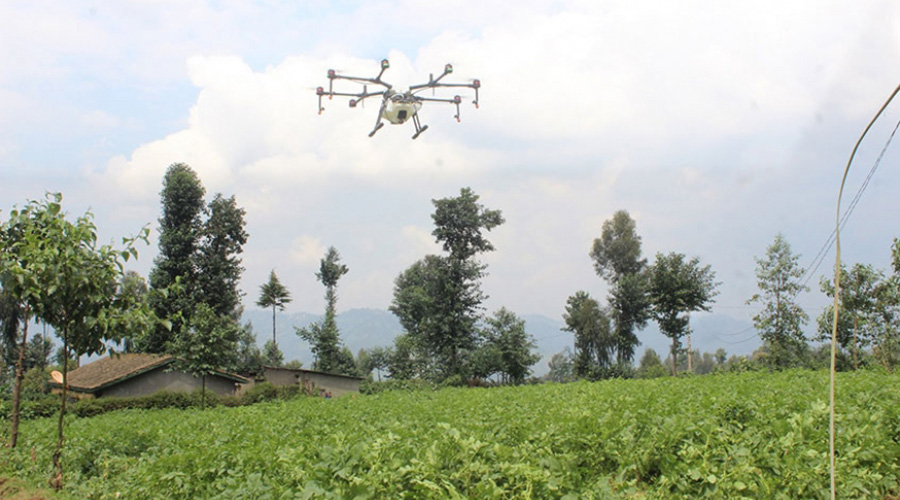 A drone sprays pesticides in a potato farm in Gataraga Sector, Musanze District. The Government plans to start using drones in spraying mosquito prone areas. / Courtesy