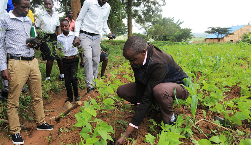 Environmental activist Jean Baptiste Mutabaruka demonstrates how to plant trees to students of Groupe Scolaire Musenyi in Kayonza District last year. Photo: Sam Ngendahimana.