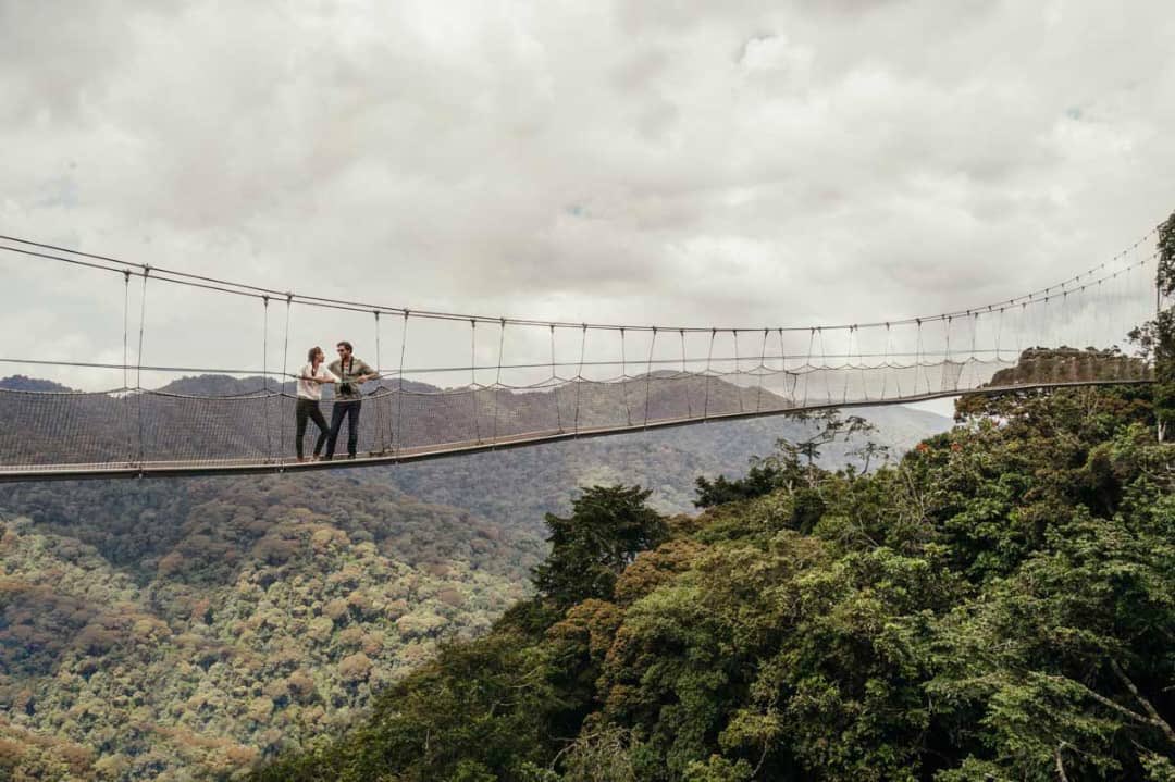 Tourists enjoy the view of Nyungwe National Park while on the canopy walkway./ Courtesy