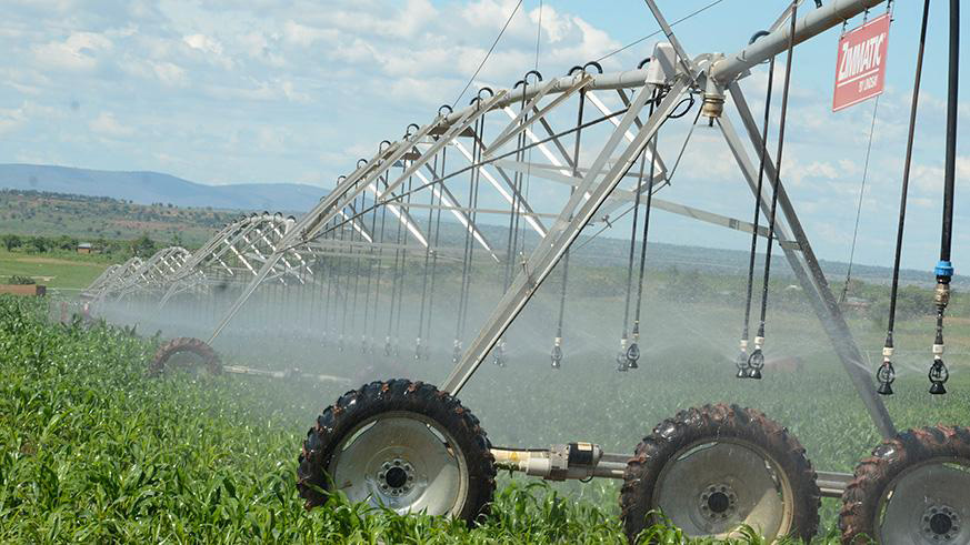 An irrigation system in a soybean plantation in Nasho, Kirehe District. / Sam Ngendahimana
