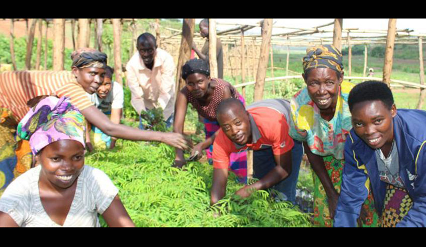 The fund, which started supporting green projects in 2013, has enabled the securing of over 21.1 million hectares of land against erosion. Courtesy.