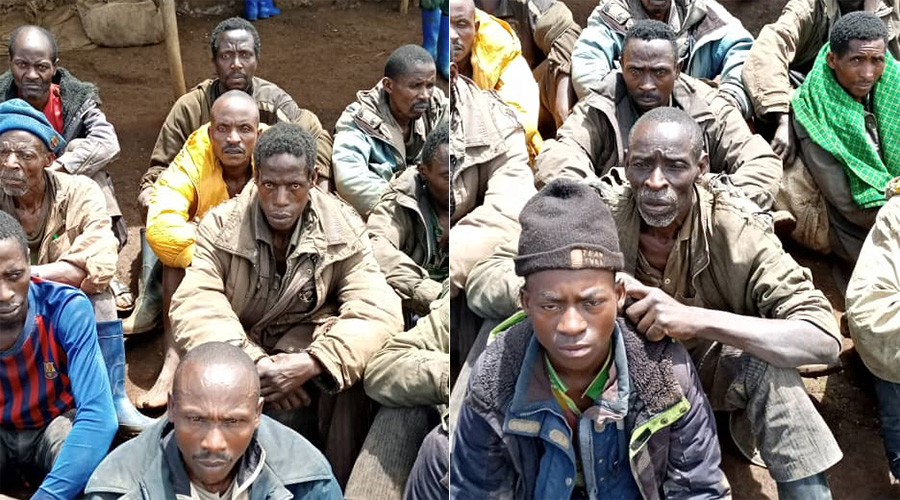 Some FDLR militias captured by Congolese army. 