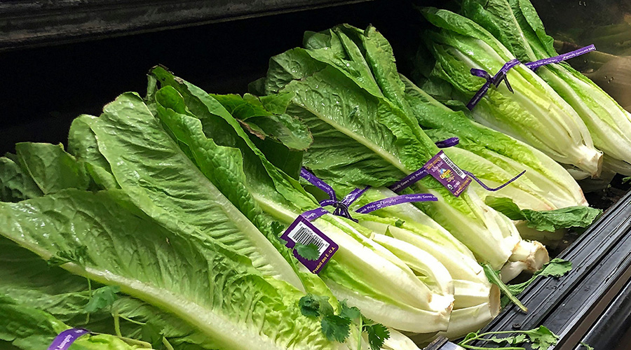 Lettuce is most often used for salads, although it is also seen in other kinds of food, such as soups, sandwiches and wraps. 