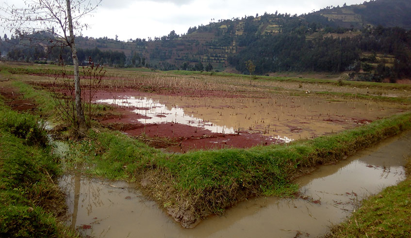 Farmers who had started to smile after Mugogo lowland was saved from persistent flooding are worried after the agricultural area got submerged again.