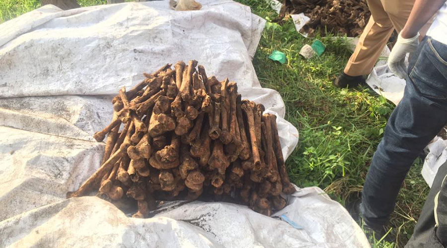 Some of the remains which were exhumed at Rubavu airstrip. The remains are believed to belong to the victims of the 1994 Genocide against the Tutsi. 