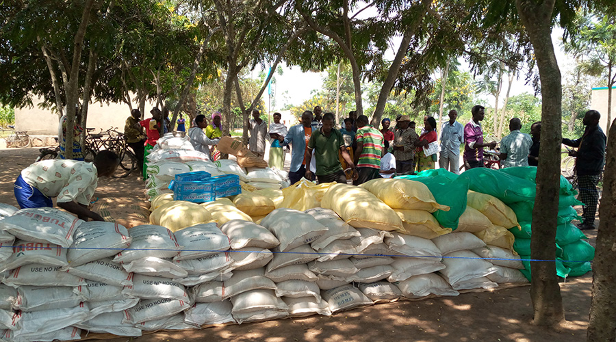 Ndego farmers receive seeds and fertilisers, ahead of Season 2020B.