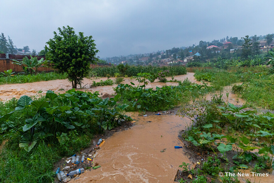 A heavy rains at Kinamba-Gakiriro-Kagugu road in Gasabo district in KigaliÂ damaged the crops on January 28, 2020. / All photos by Emmanuel Kwizera.
