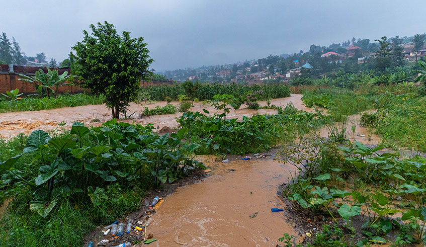 The ongoing heavy rain may jeopardise food security in the coming months. / Photo: Emmanuel Kwizera.