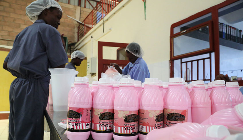 Workers on a yogurt packaging line at a dairy firm that still uses single-use plastics at Special Economic Zone in Kigali. / Sam Ngendahimana.