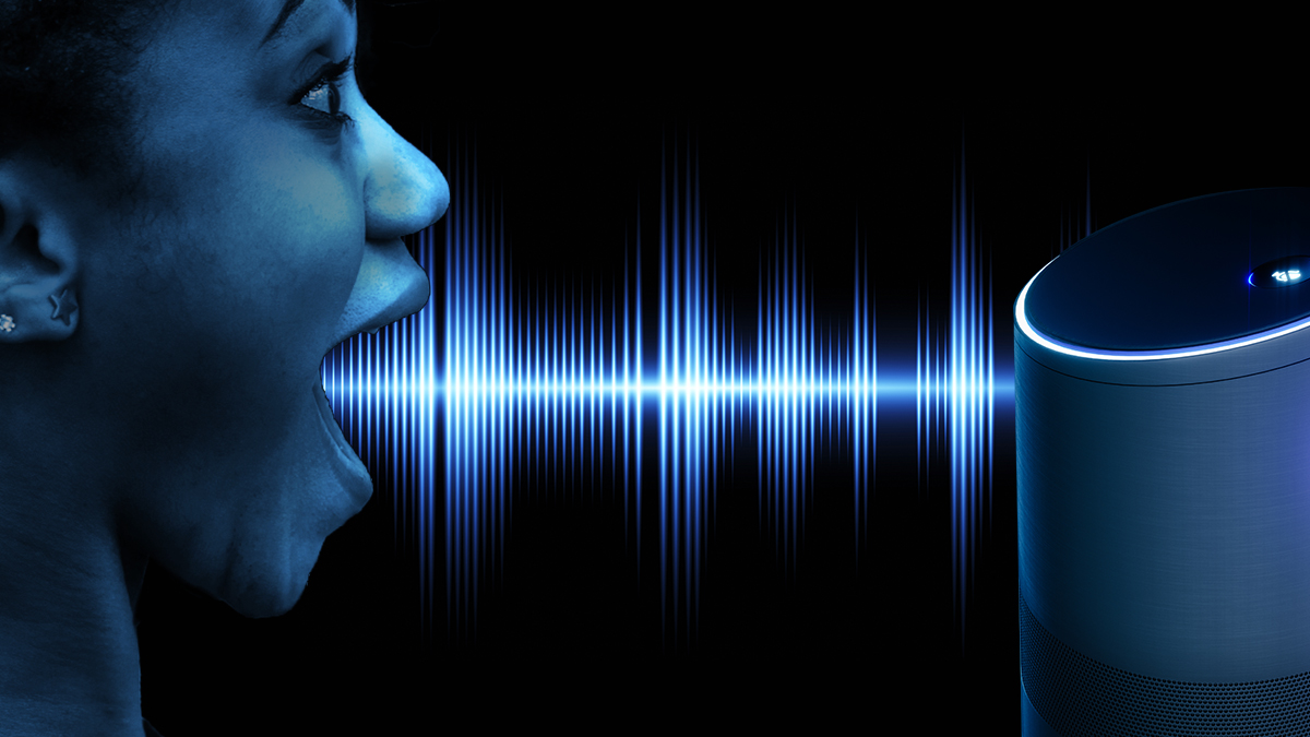 Studies suggested 50 percent of all searches would be voice-based by 2020. /Net Photo