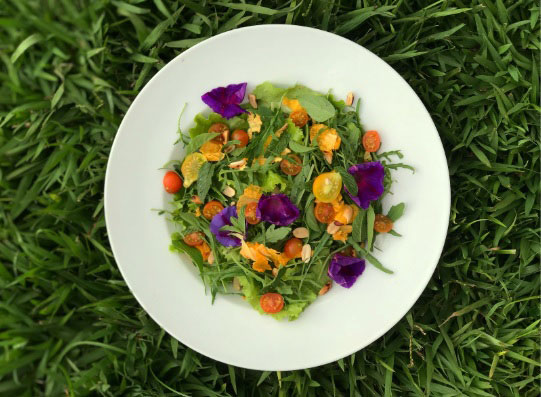 Make an easy garden salad with fresh veggies and an equally simple, tasty salad dressing. 