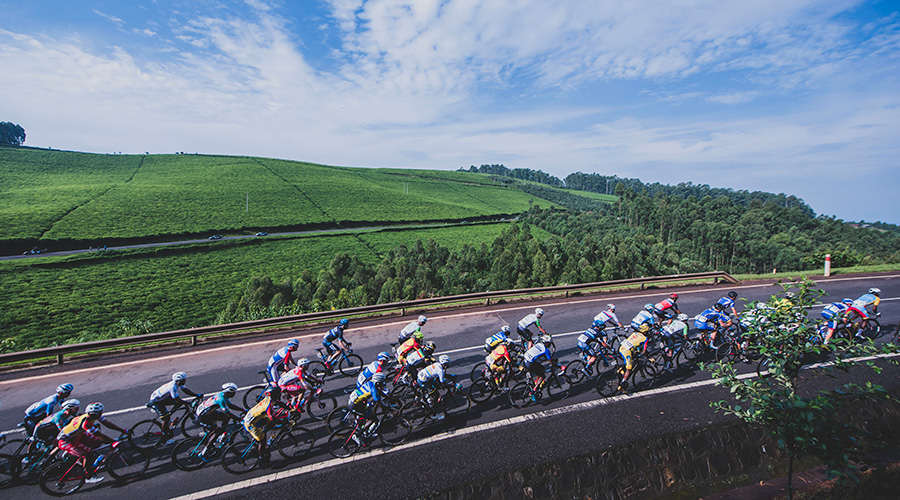 Breathtaking views of evergreen tea plantations in Western Province have become a part and parcel of the Tour du Rwanda.