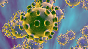 We have put together a quiz to test how much basic information you know about the Coronavirus.