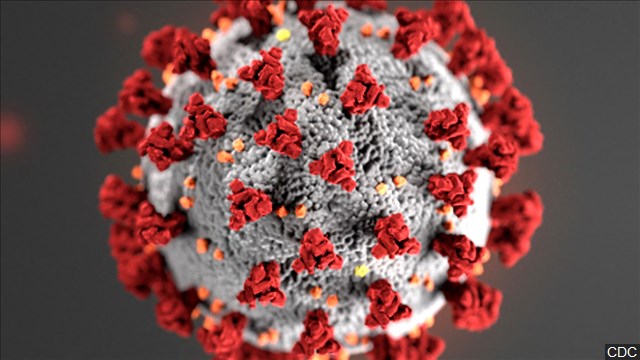 Coronavirus-provisionally named SARS-CoV-2, with its disease COVID-19-has now been documented in more than 170 countries and territories around the world