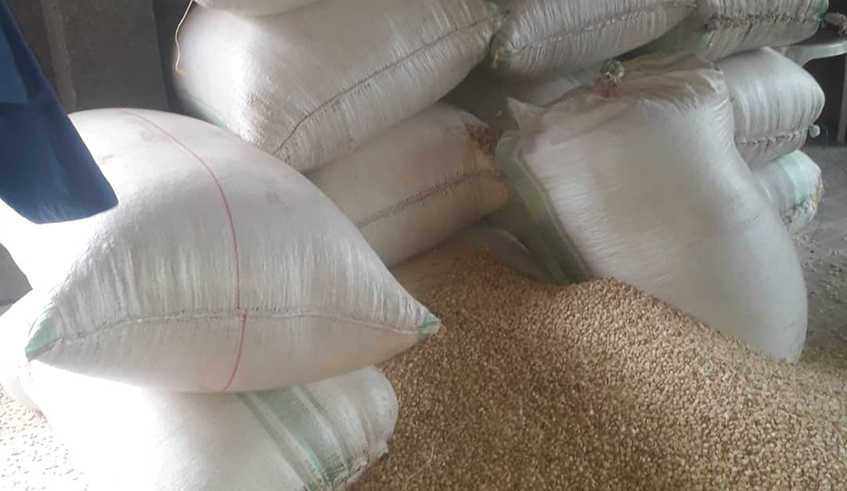 Some of the foodstuffs that will be distributed to 350 vulnerable households in Rubavu District. / Photo: Courtesy.