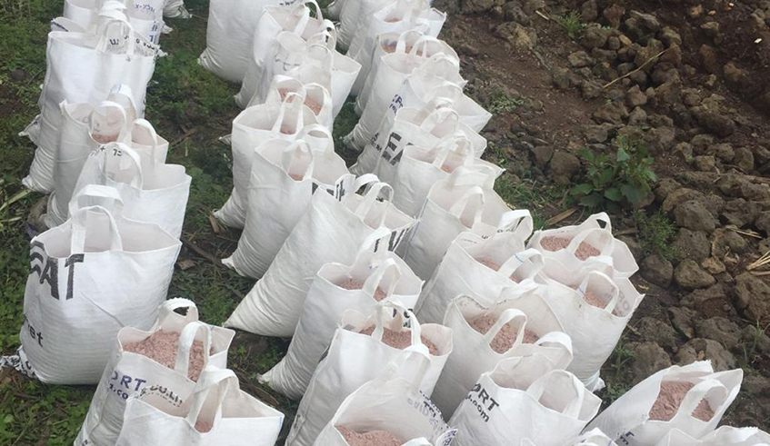 Some of the foodstuff that was donated to teen mothers in Musanze District by the young environmentalists. / Photo: Courtesy.