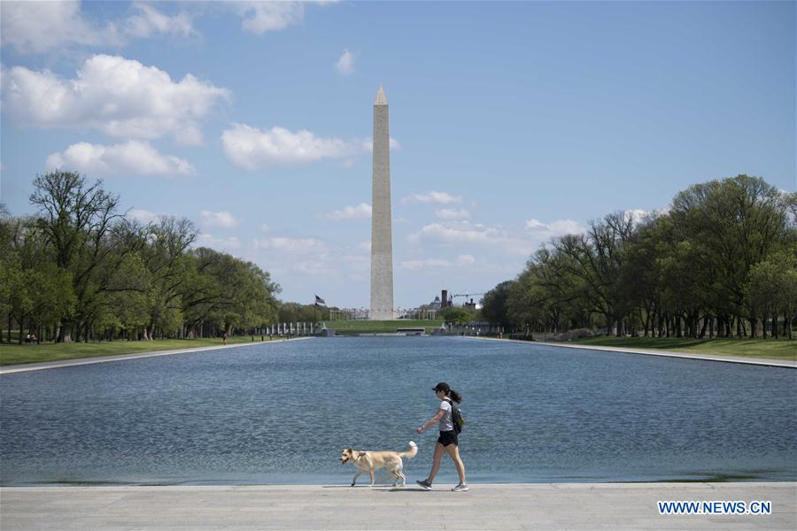 A woman walks a dog near the Washington Monument in Washington D.C., the United States, April 8, 2020. The number of COVID-19 cases in the United States reached 401,166 as of 12:20 local time on Wednesday (1620 GMT), according to the Center for Systems Science and Engineering (CSSE) at Johns Hopkins University. 
