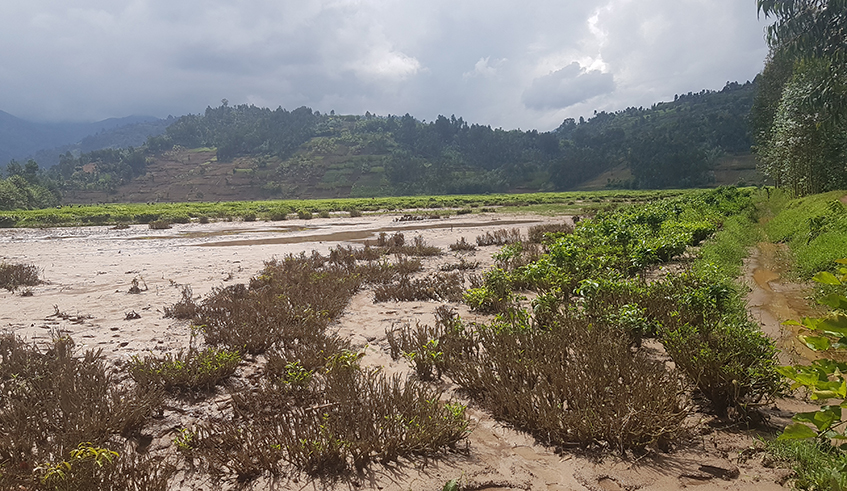 Hundreds of people in Rubavu District, Western Province have been displaced and communities massively overwhelmed by Sebeya River floods. / Courtesy.