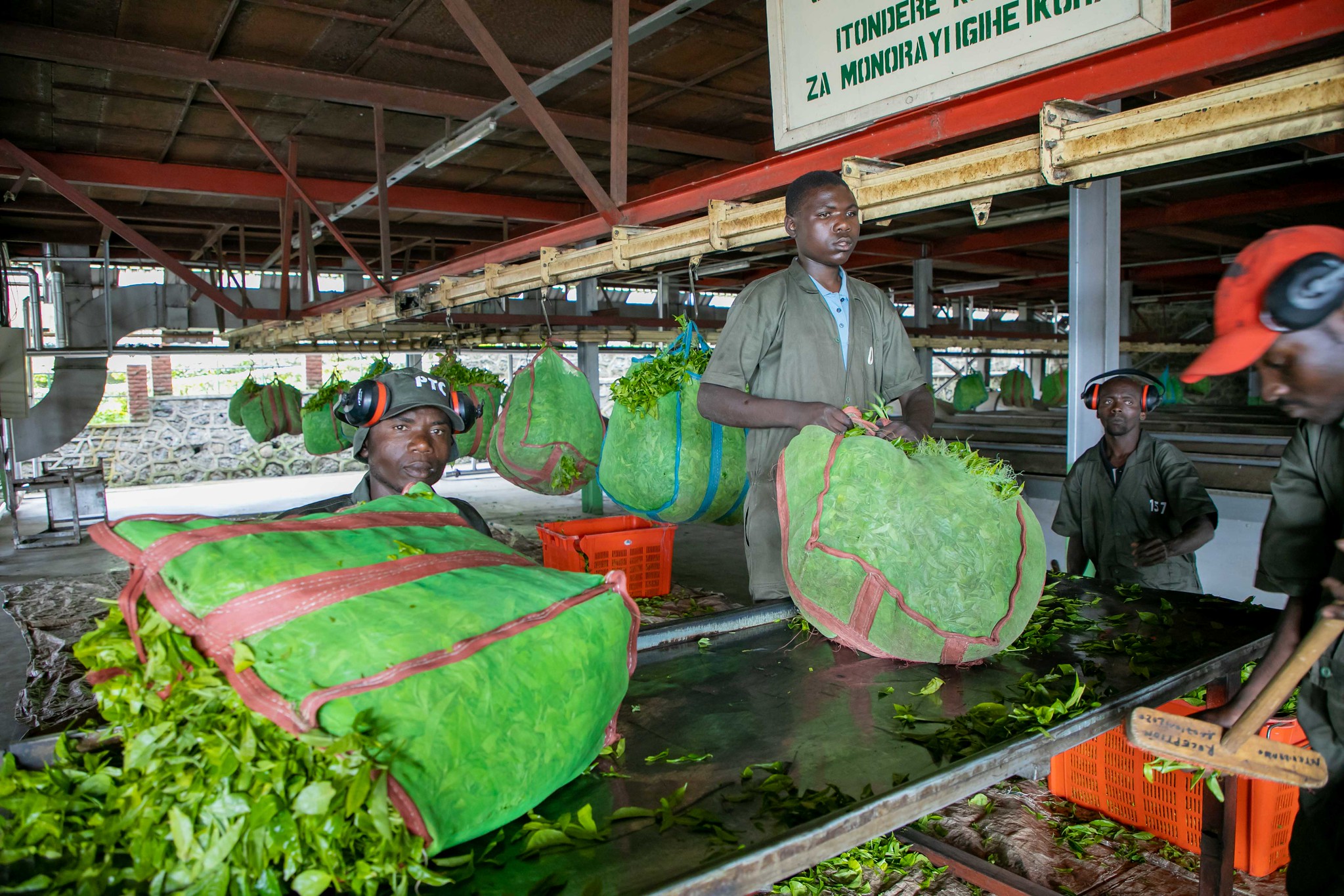 Workers inside Pfunda Tea Company factory in Rubavu District. PSF is examining the impact of the COVID-19 on the private sector workers countrywide to see how it will not affect workers. 