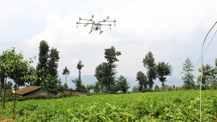 A drone sprays pesticides in Gataraga Sector, Musanze District last year. Drones are being used to rid communities of malaria-carrying mosquitoes. 