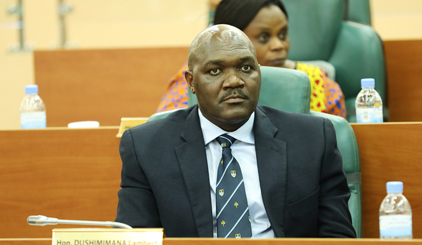 Lambert Dushimimana, Chairperson of the Senatorial Committee on Governance and Political Affairs. / Photo: Sam Ngendahimana.
