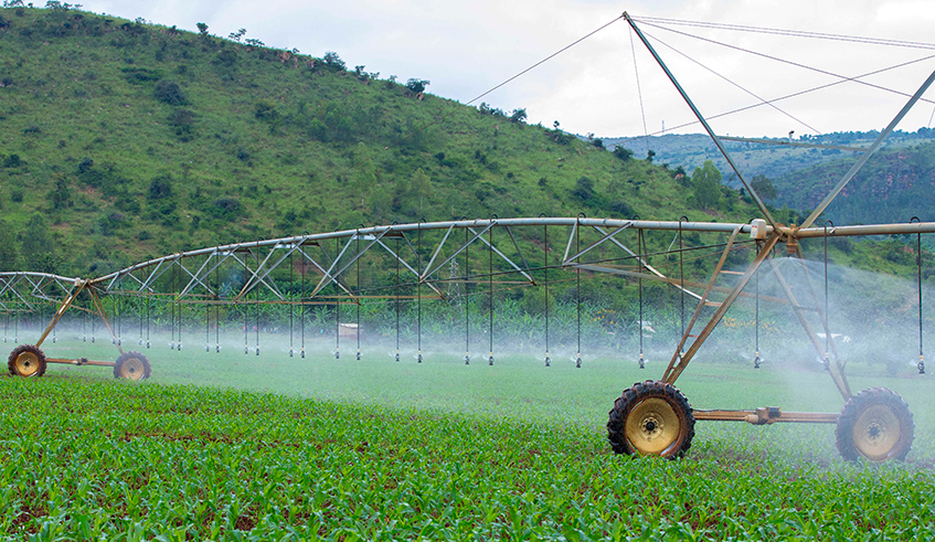 A solar-powered irrigation system in Nasho, Eastern Province. In the 2020/21 budget, the agriculture sector got Rwf30.1 billion more funding intended to support efforts to ensure food security. / Photo: File.
