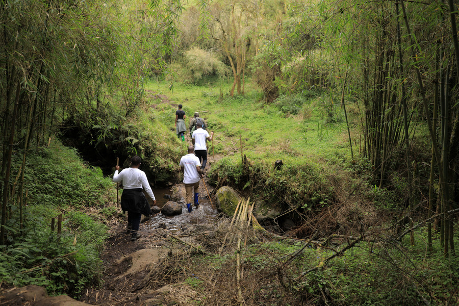 It takes about three hours through the park to get to Urugano. Urugano was home to RPA forces in 1990.